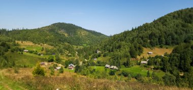 Yazın dağlarda yeşil çayır