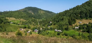 beautiful summer landscape of the carpathians