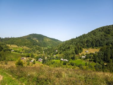 Yeşil orman dağlarında