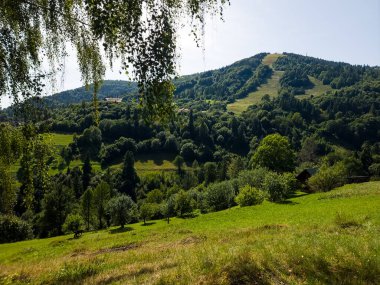 Karpatlar'ın dağ manzarası