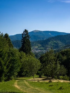 Doğanın güzel manzarası