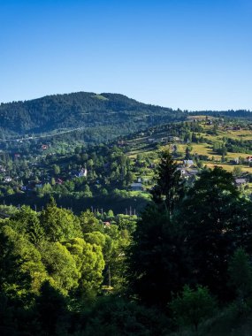 Dağlarda güzel bir orman manzarası