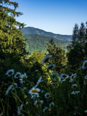 Önünde bir dağ sırası olan yaz manzarası