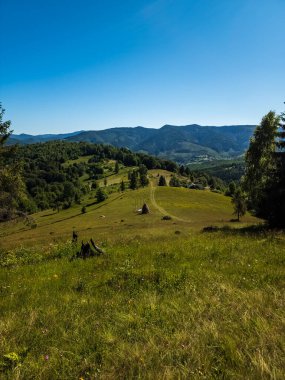 Ağaçlı ve bulutlu yeşil ormanın güzel bir görüntüsü.