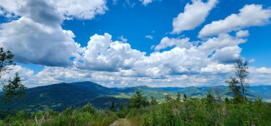 Karpatlar 'daki güzel dağ manzarası