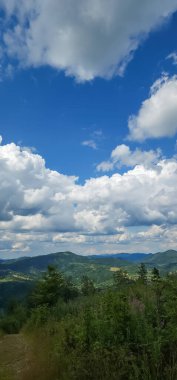 Arkasında bir dağ olan güzel bir manzara.