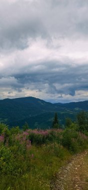 Dağların güzel manzarası
