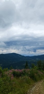 Dağlarda dağları olan güzel bir manzara.