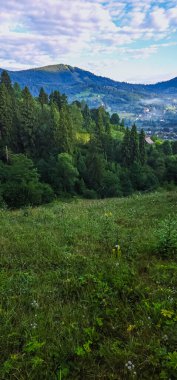 Yazın dağlarda yeşil çayır ve orman. Slovakya
