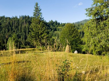 Dağların güzel manzarası
