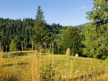 dağlarda yaz peyzaj
