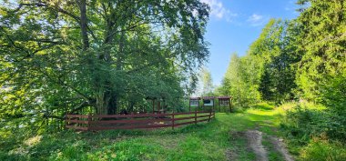 Kırsalda çitleri olan yeşil ağaçlar ve mavi gökyüzü