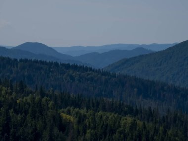 Ukrayna Karpatlarının dağ zirveleri. Yaz manzarası