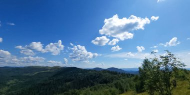 Yeşil ormanı olan güzel bir manzara.