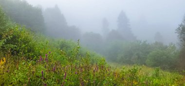 Karpatlarda sabah sisi