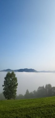 bir vadinin güzel manzara