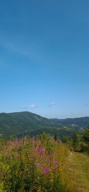 Dağlı güzel bir manzara.