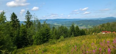 Karpatlar üzerinde güzel manzaralı yaz dağları manzarası