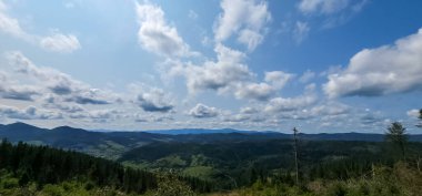 Yazın dağların manzarası. Karpat Dağları 'nın yaz günündeki güzel manzarası