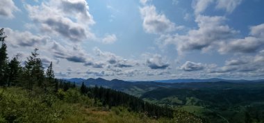 Yazın Karpat Dağları. Güzel manzara.