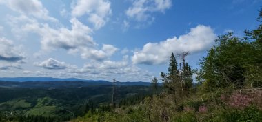 Ukrayna 'daki Karpatlar' da bir dağla yaz manzarası