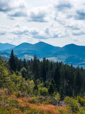Dağların güzel manzarası