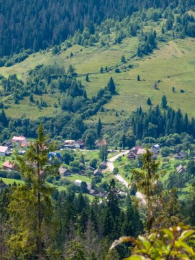 Yazın Karpat Dağları 'nın güzel manzarası