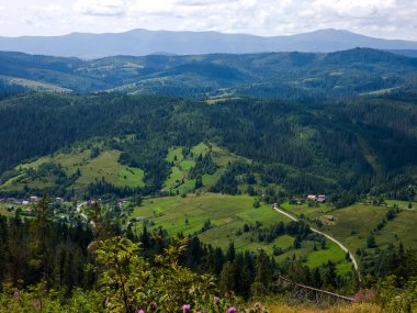 Karpat Dağları. Ukrayna 'da yaz manzarası. Dağ vadisi. Tepelerdeki yeşil orman.