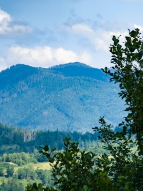 Güzel bir manzara Ağacı ve mavi gökyüzü