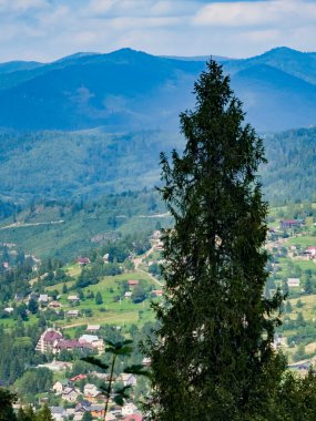 Bir dağın tepesinden Karpatlar 'ın manzarası