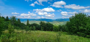 Yeşil orman ve mavi bulutlu gökyüzü