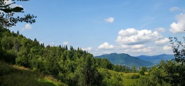 Yeşil ormanlı dağ manzarası