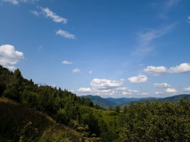 Dağlarda yeşil ağaçlar ve çalılar