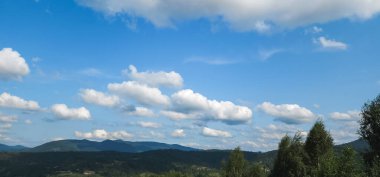 Ormanın güzel manzarası