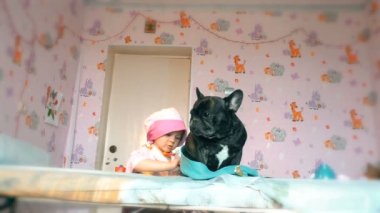 Sevimli küçük kız doktor kanepede yatan bir köpek davranır. Doktor oyunu. Köpek doktorun masasında yatıyor. Köpek tıbbi bakım alır.