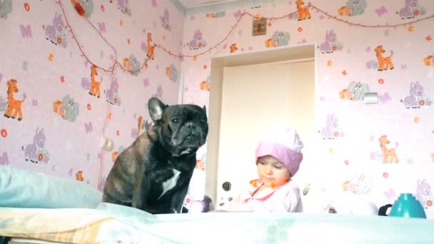 Cute Little Girl Doctor Examines Dog Prescribe Her Treatment Dog — Stock Video