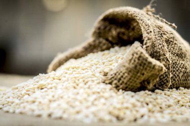 Ham organik Pennisetum glaucum topçu çantadan geliyor darı.