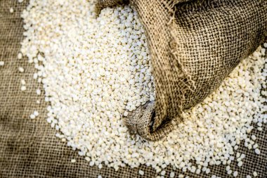 Ham organik beyaz mercimek, gunny çantaya vigna mungo.