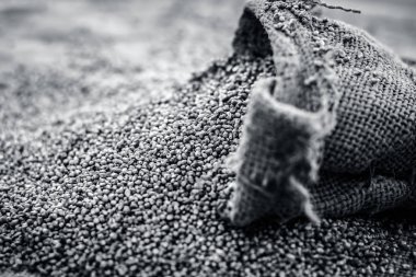 Ham organik Pennisetum glaucum topçu çantadan geliyor darı.