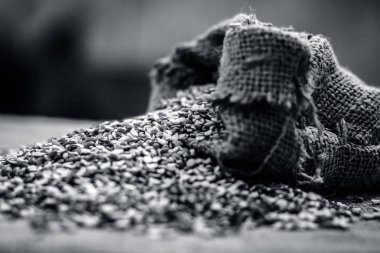 Split yeşil gram, Moong dal, bir topçu çantasından çıkan Vigna Işınsal simetrili canlılar.;