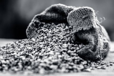 Split yeşil gram, Moong dal, bir topçu çantasından çıkan Vigna Işınsal simetrili canlılar.;