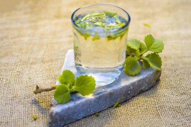 ajwain su yaprak ve tohum, kilo kaybı için yararlı bir cam Trachyspermum annem.