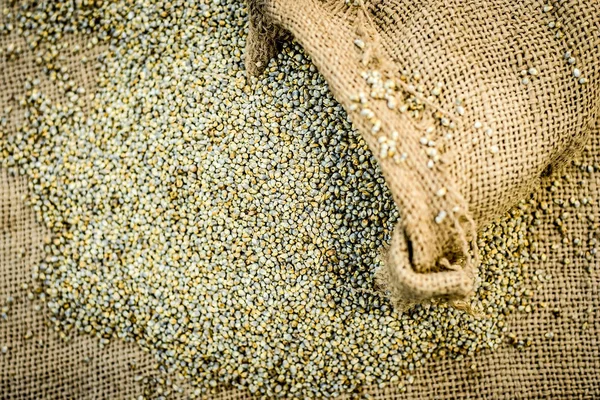 Raw Orgânico Pennisetum Glaucum Pearl Millet Saindo Saco Armas — Fotografia de Stock