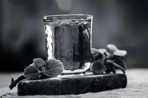 Вода Листя Насіння Айвейна Трахіспер Муммі Склянці Корисному Схуднення — стокове фото