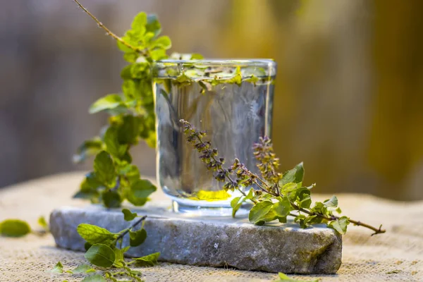 Kutsal Fesleğen Mehmet Veya Ocimum Tenuiflorum Şeffaf Bir Bardak — Stok fotoğraf