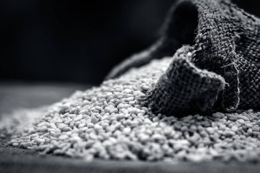 Ham organik beyaz mercimek, gunny çantaya vigna mungo.