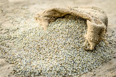 Ham organik Pennisetum glaucum topçu çantadan geliyor darı.