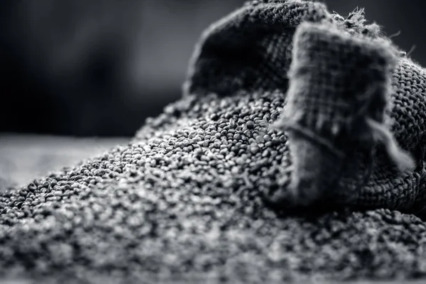 Pennisetum Glaucum Orgánico Crudo Mijo Perla Saliendo Una Bolsa Armas — Foto de Stock