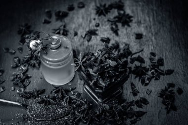 Bir kase toz ve onun yağ ile yıldız aniseeds görünümünü kapat.