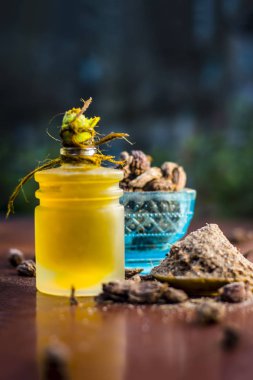 Yağı, tozu ile siyah kakule ve ham siyah kakule görünümünü kapat.